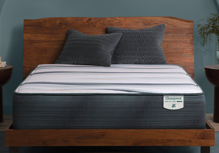 beautyres harmony in nice room